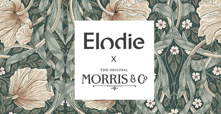 ELODIE x MORRIS & CO - wyjątkowa kolekcja już dostępna!