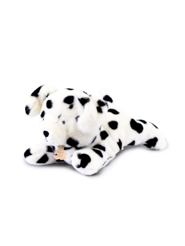 DOUDOU - pluszowy pies dalmatyńczyk Les P'tits Relax, Histoire d'Ours, 30 cm, biały