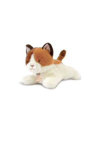 DOUDOU - pluszowy kot Les P'tits Relax, Histoire d'Ours, 22 cm, rudo-biały