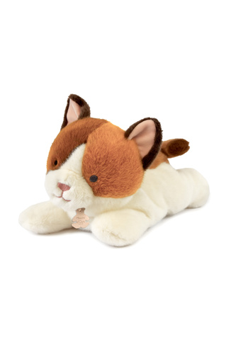 DOUDOU - pluszowy kot Les P'tits Relax, Histoire d'Ours, 30 cm, rudo-biały